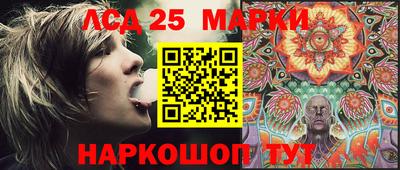 гидропоника Донской