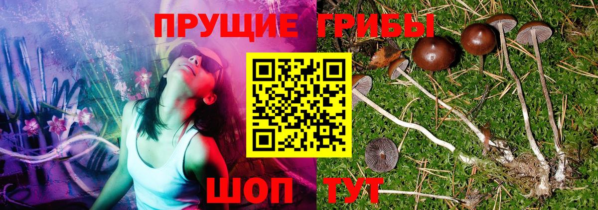 Псилоцибиновые грибы мухоморы  Вход с VPN  Биробиджан 