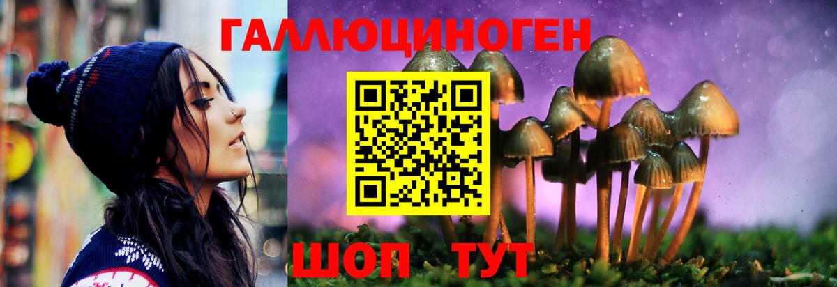 Галлюциногенные грибы мицелий Биробиджан
